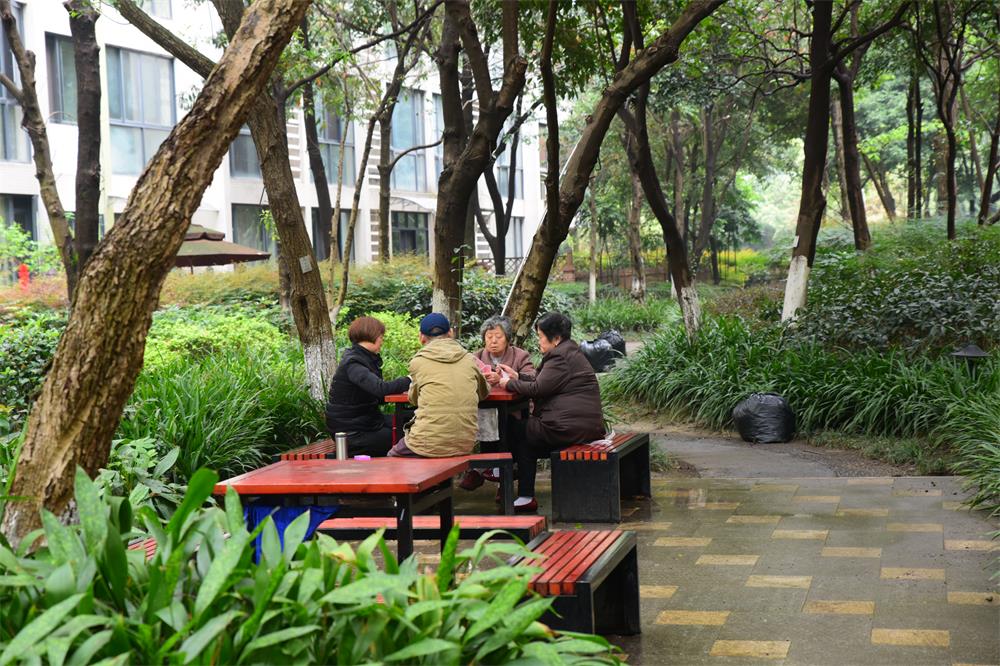 1521704703103691.jpg 悠闲的老人.jpg